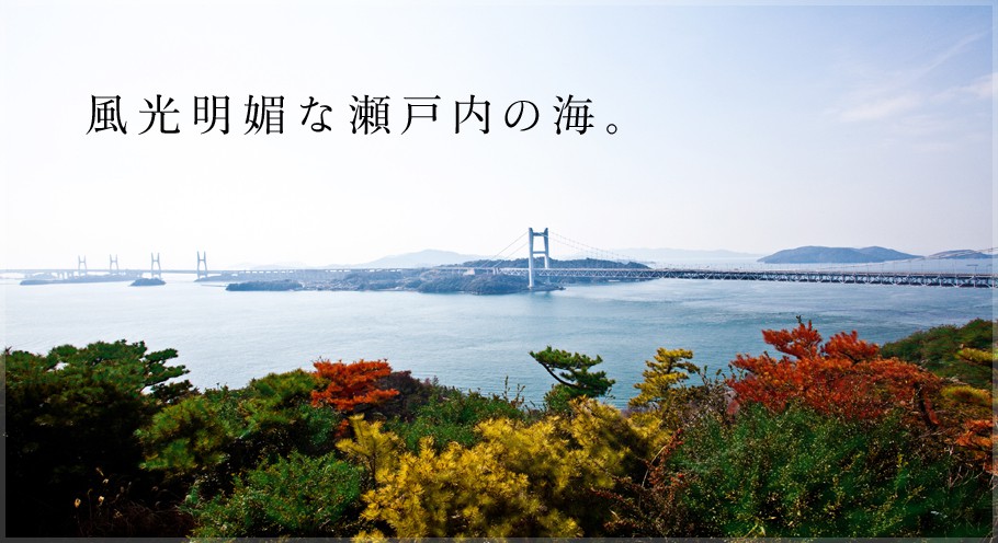 �������Z�Ȑ��˓��̊C�B