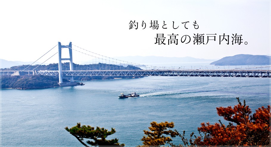 �ނ��Ƃ��Ă��ō��̐��˓��C�B